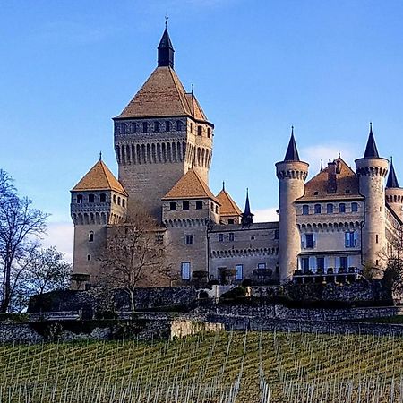 Guest House La Sereine Romanel-sur-Morges المظهر الخارجي الصورة