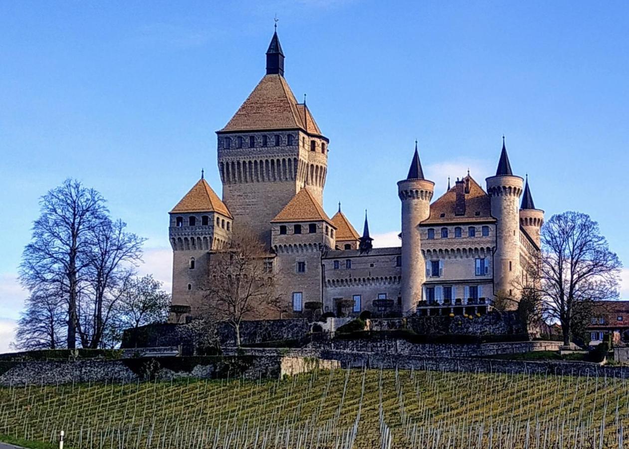 Guest House La Sereine Romanel-sur-Morges المظهر الخارجي الصورة